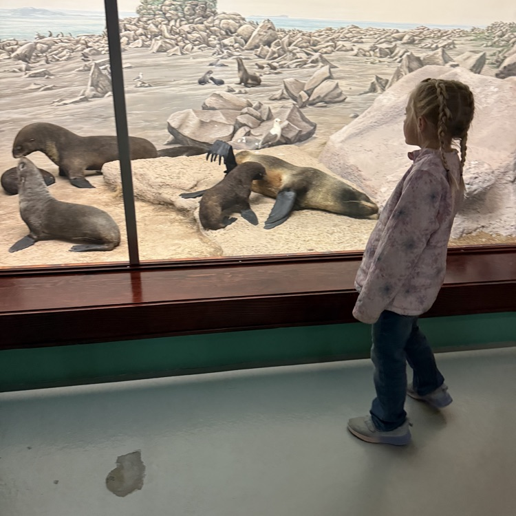 3rd grade had a fun and educational field trip to the Hastings Museum today!