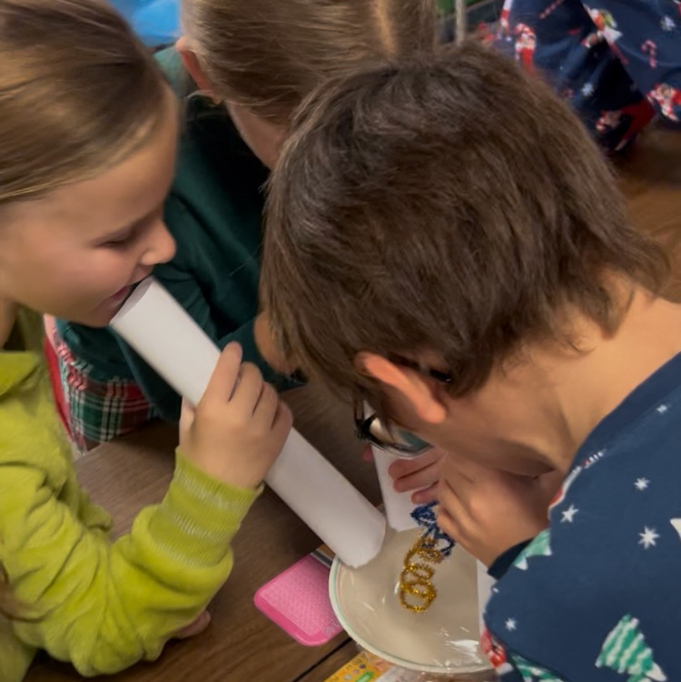 Second grade Christmas fun.  Decorating Christmas trees,  sound wave dancing Christmas trees and at pj party!!  