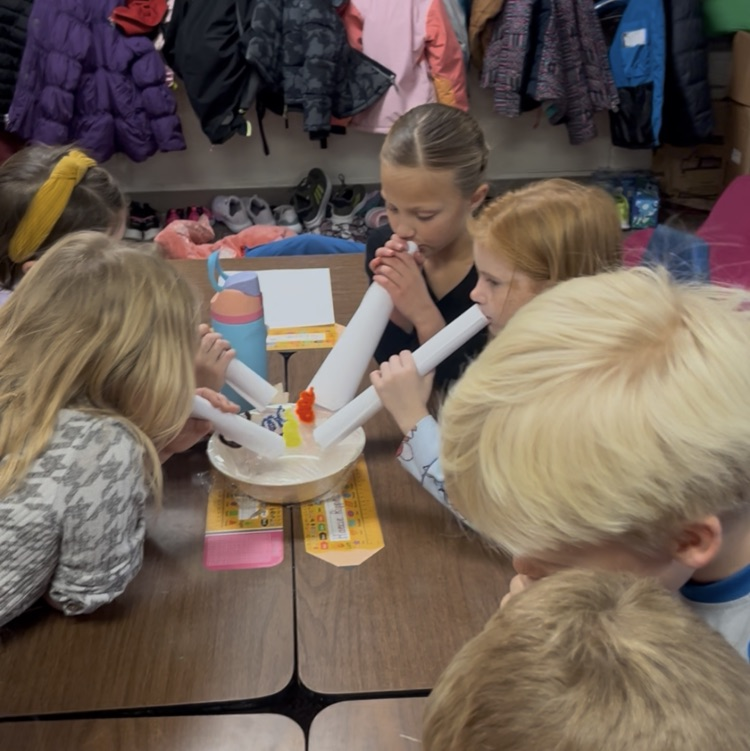 Second grade Christmas fun.  Decorating Christmas trees,  sound wave dancing Christmas trees and at pj party!!  