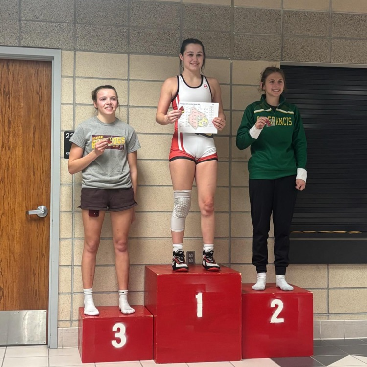 High school wrestling post