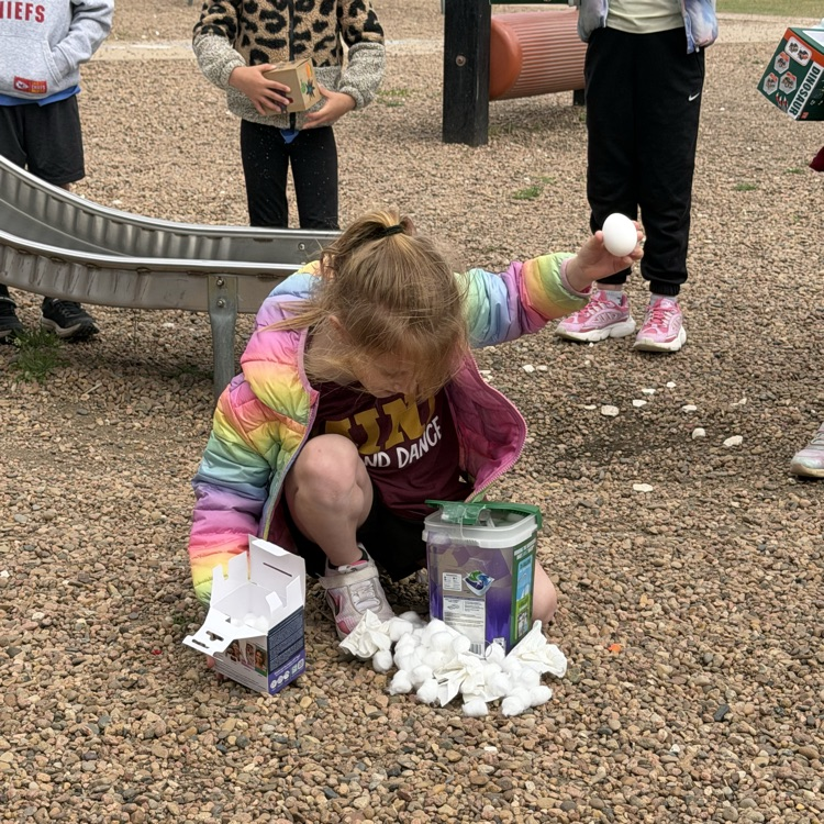 First graders put their engineering skills to use and each made an egg drop creation. Then they tested if their raw egg could survive a fall from the slide! 21 eggs survived! 7 eggs did not fare so well, but everyone had a great time trying!