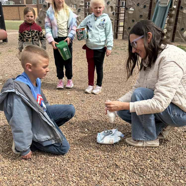 First graders put their engineering skills to use and each made an egg drop creation. Then they tested if their raw egg could survive a fall from the slide! 21 eggs survived! 7 eggs did not fare so well, but everyone had a great time trying!