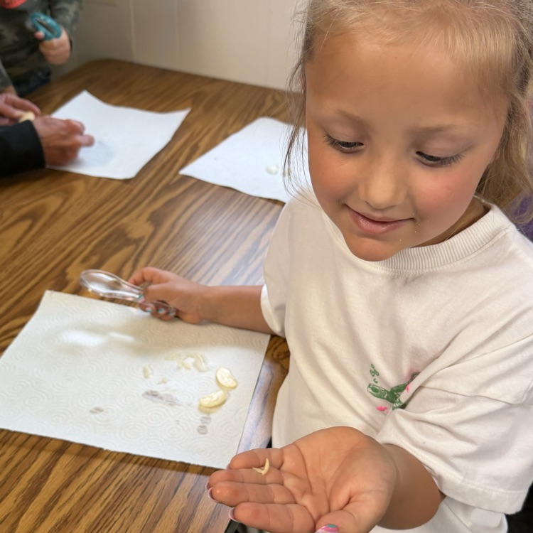 Can you please post: On Tuesday Preschool was able to enjoy a hands on experience through K-State Research Extension Office: Gardening In A Glove