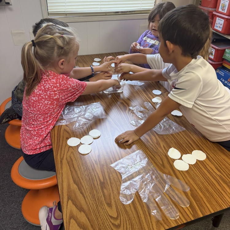 Can you please post: On Tuesday Preschool was able to enjoy a hands on experience through K-State Research Extension Office: Gardening In A Glove