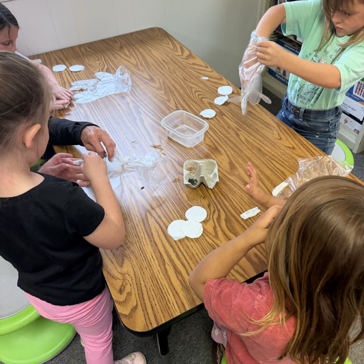 Can you please post: On Tuesday Preschool was able to enjoy a hands on experience through K-State Research Extension Office: Gardening In A Glove