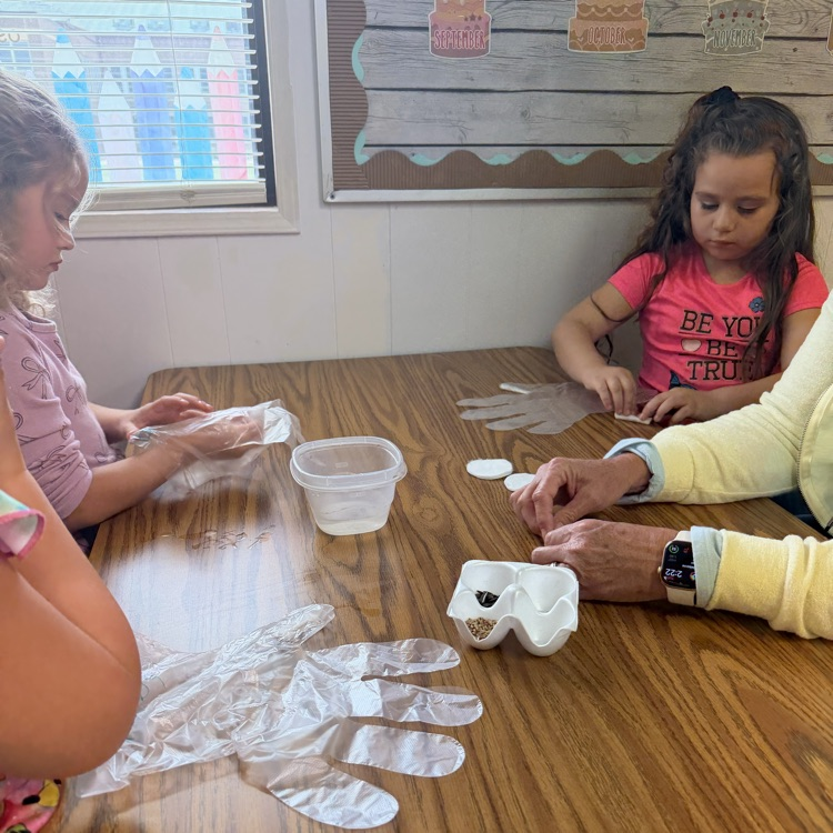 Can you please post: On Tuesday Preschool was able to enjoy a hands on experience through K-State Research Extension Office: Gardening In A Glove