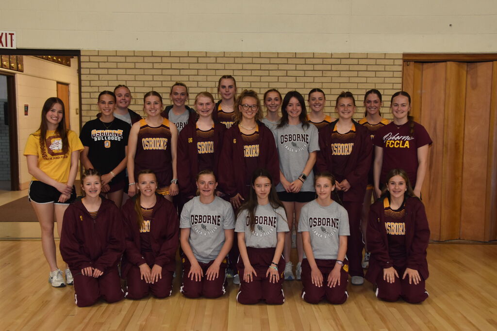 lady dogs