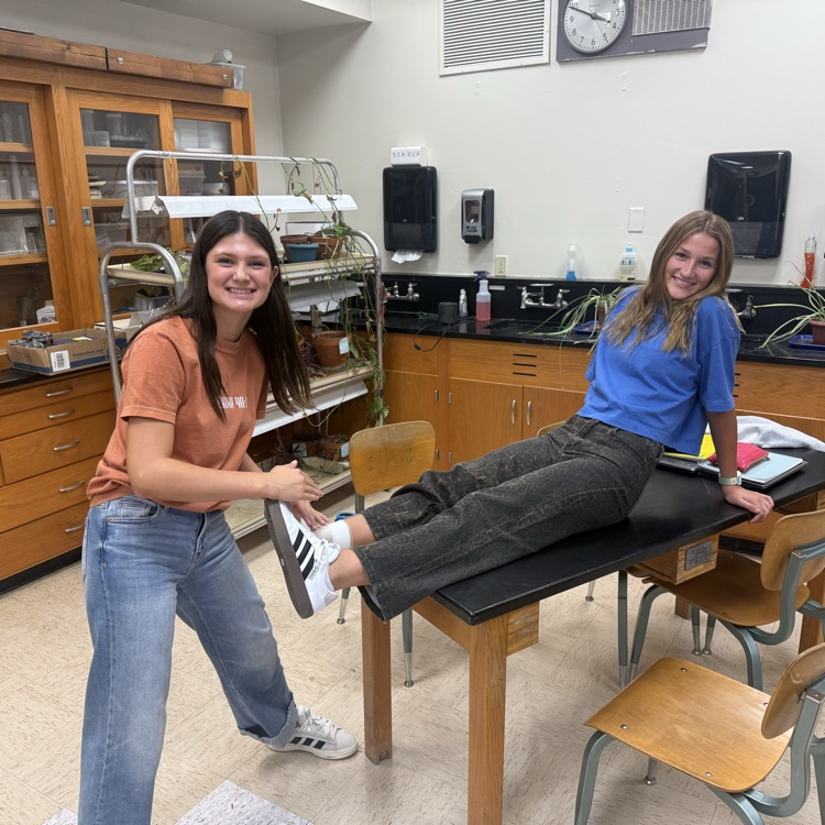 Ankle taping 101 in foundations of rehab/care of athletes