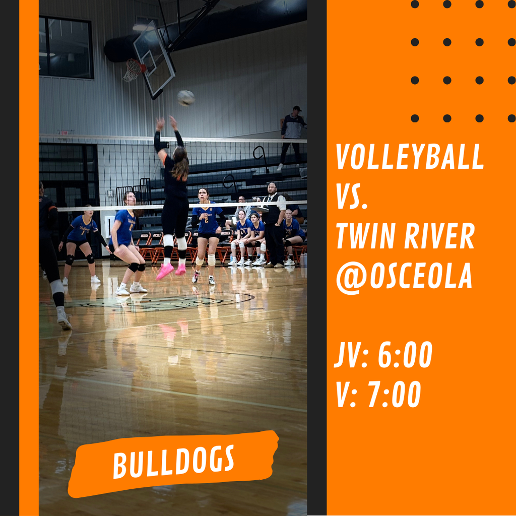 Volleyball Game