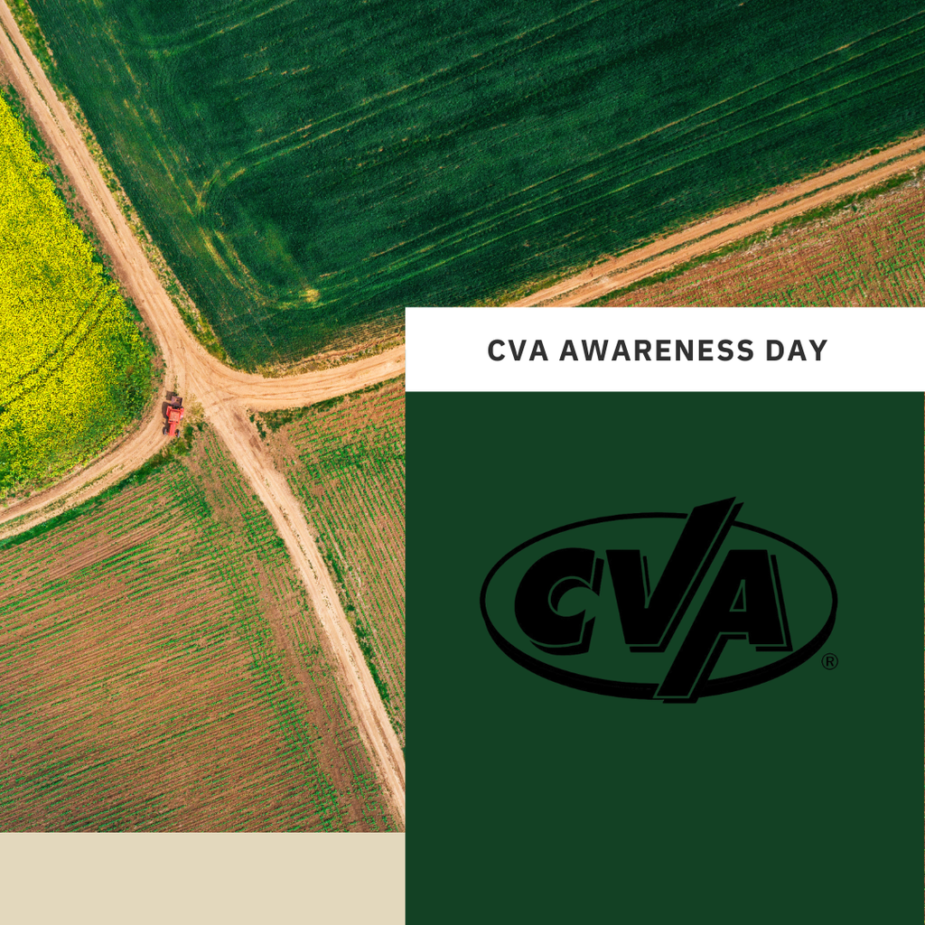 CVA Awareness day