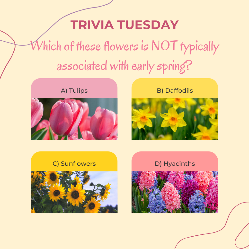 Trivia Tuesday