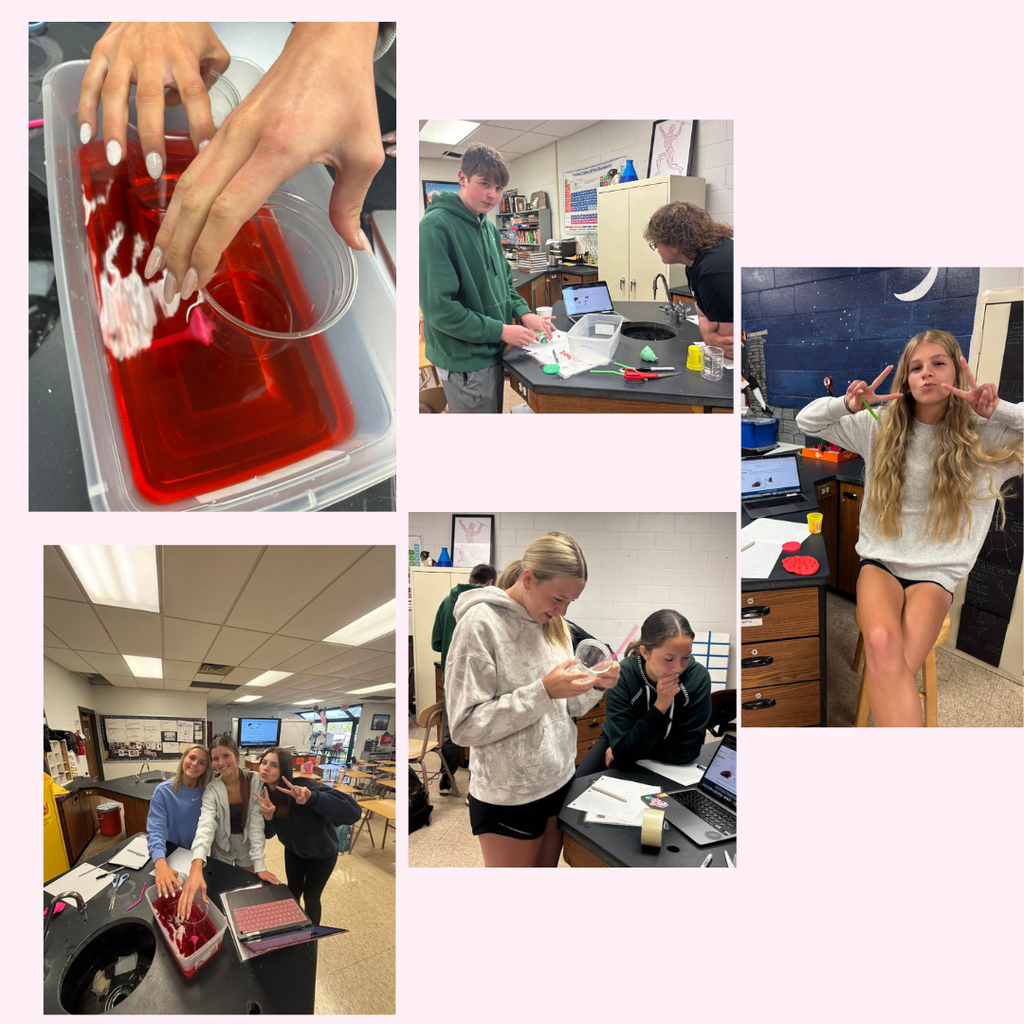 Lab