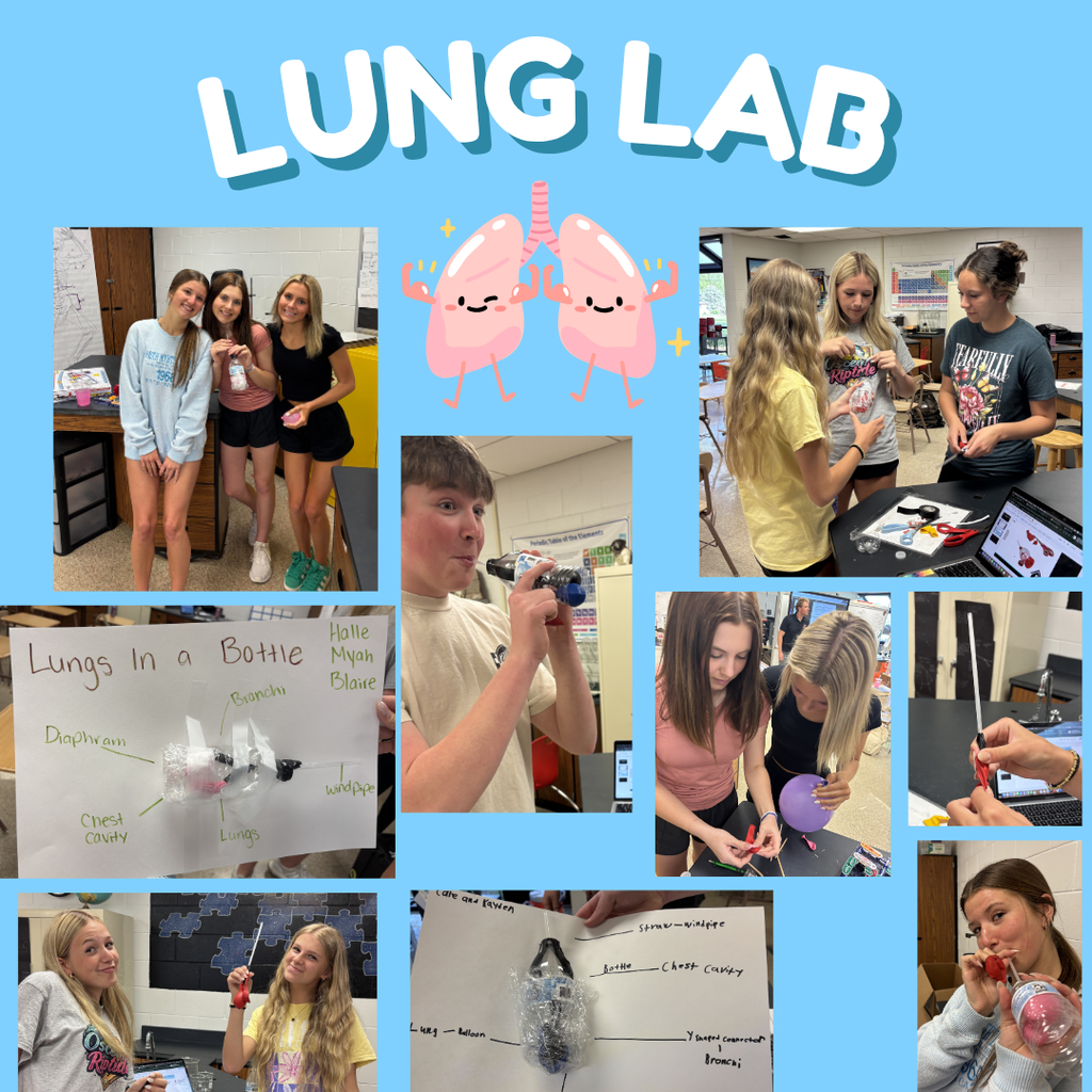 Lab