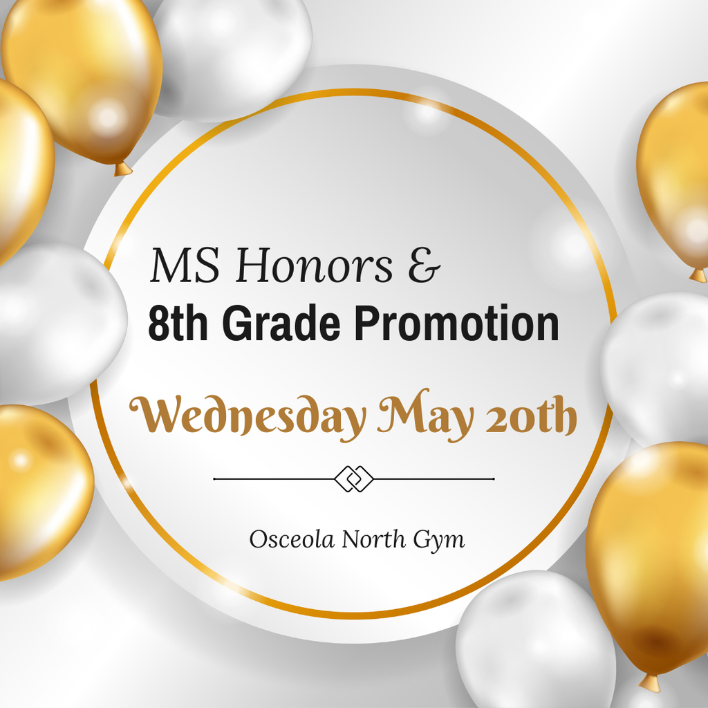 MS Promotion