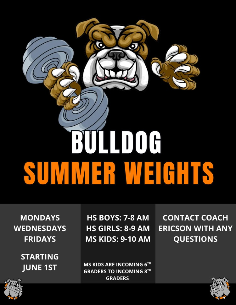 weights 