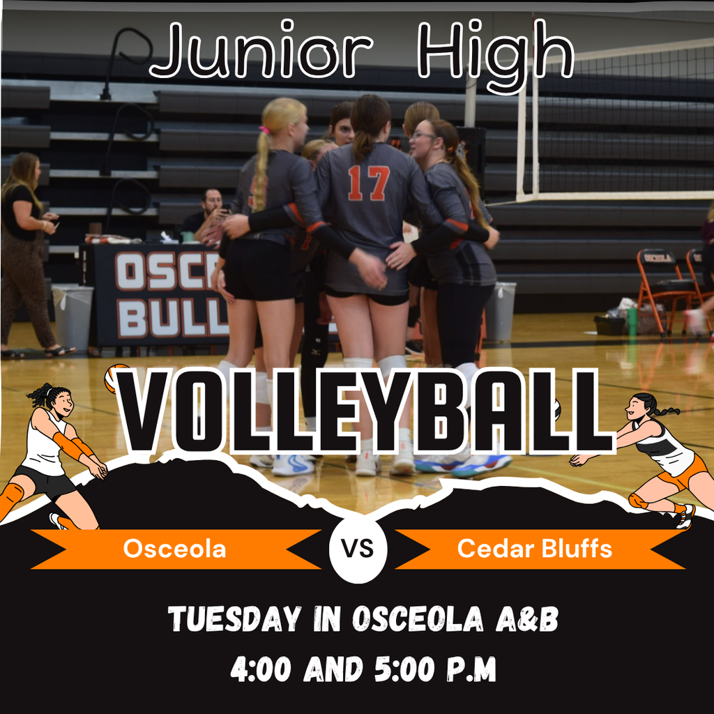 Junior high volleyball game