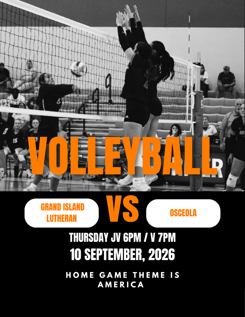 Home Volleyball Game 