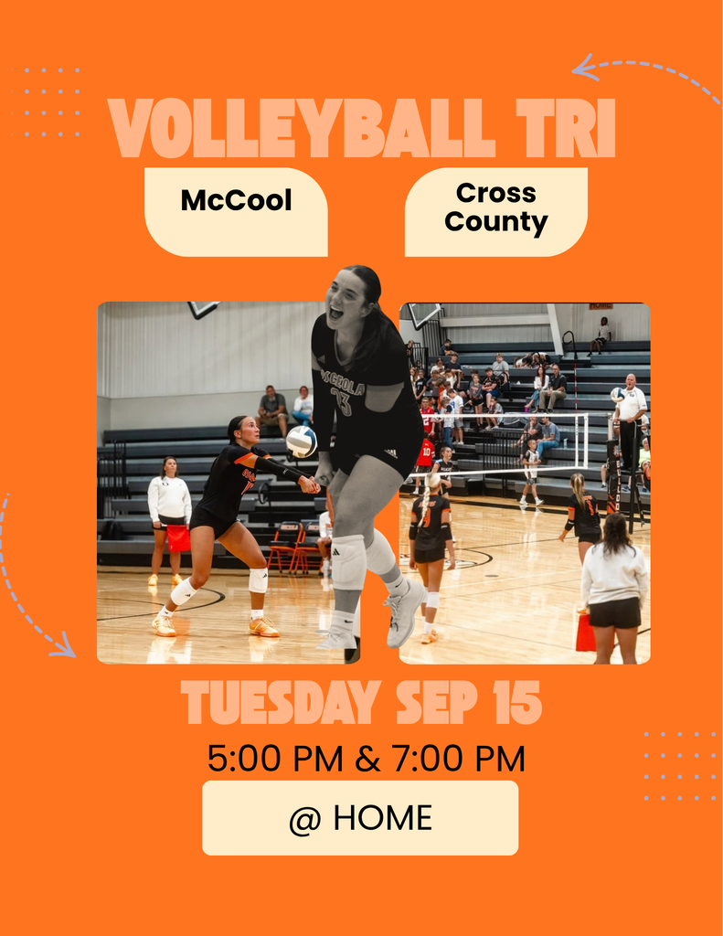Volleyball Game
