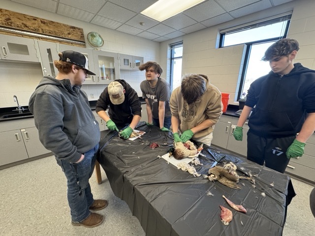 Oskaloosa Conservation students