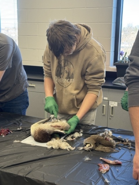 Oskaloosa Conservation students