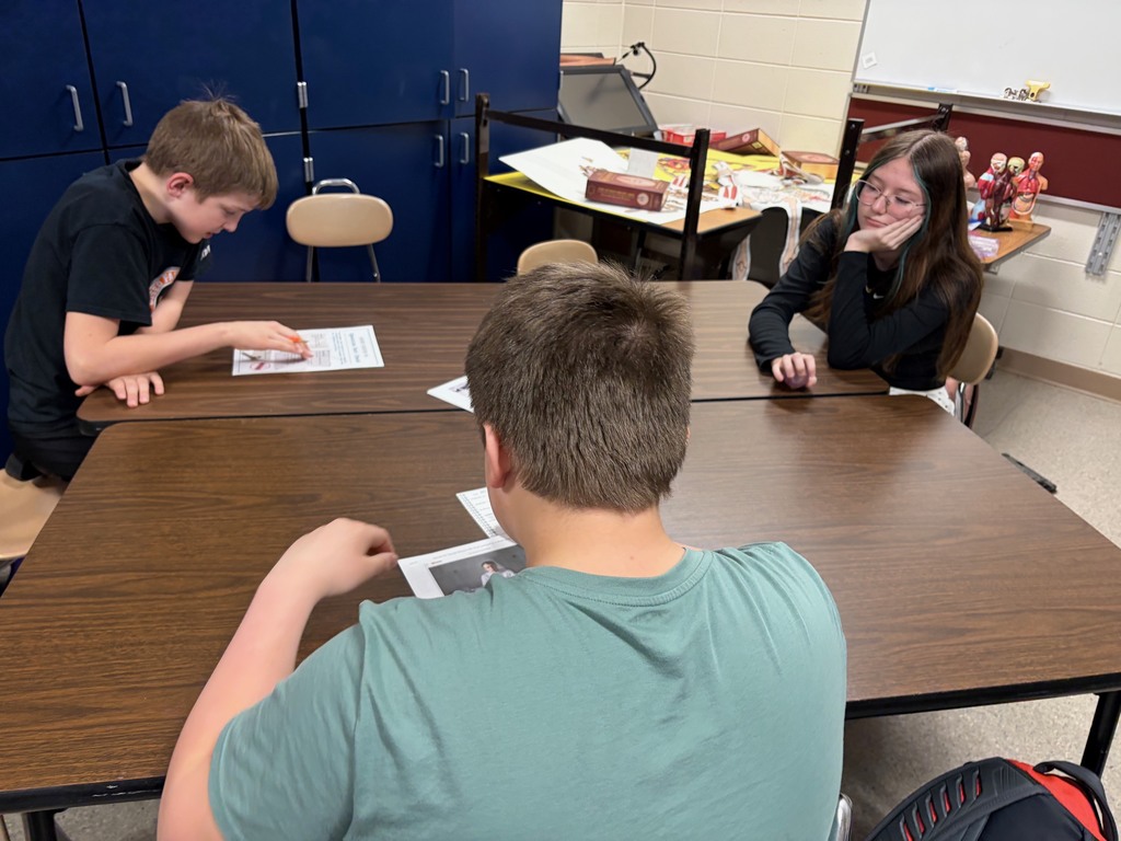 students working in classroom