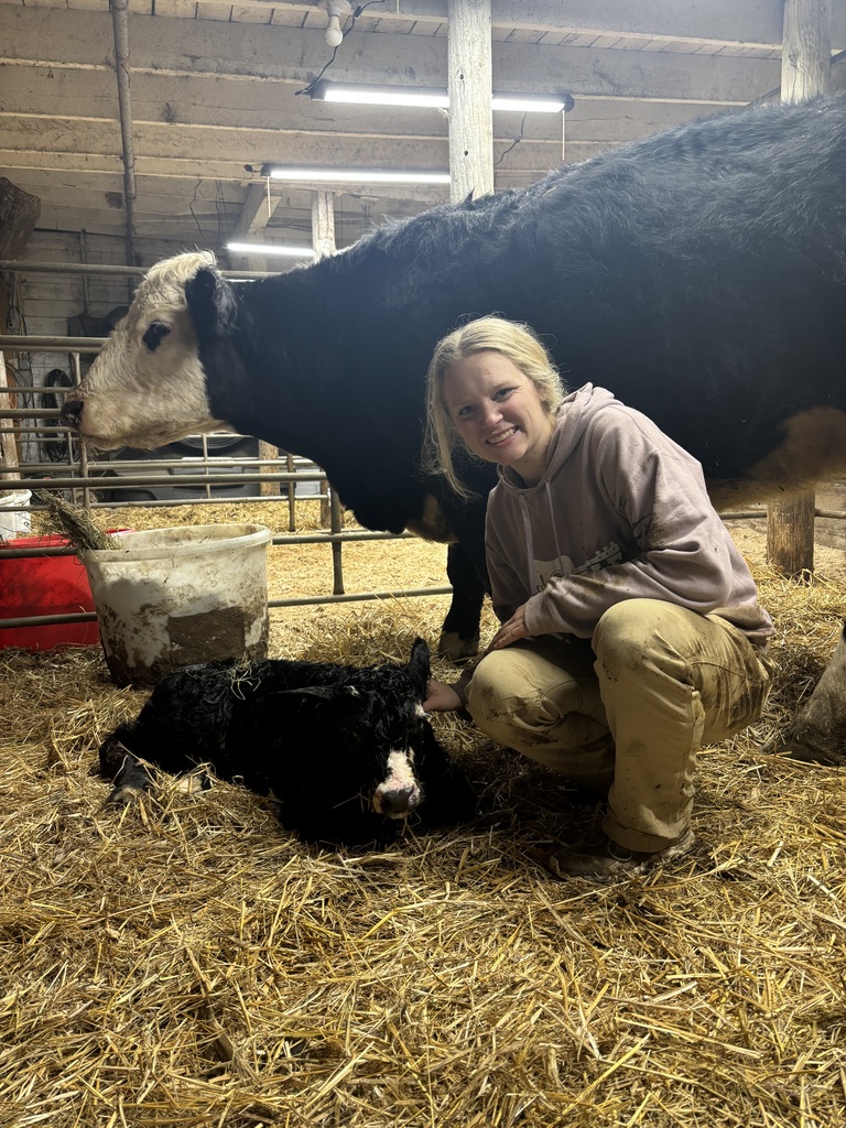 Elizabeth in barn with cow and calf