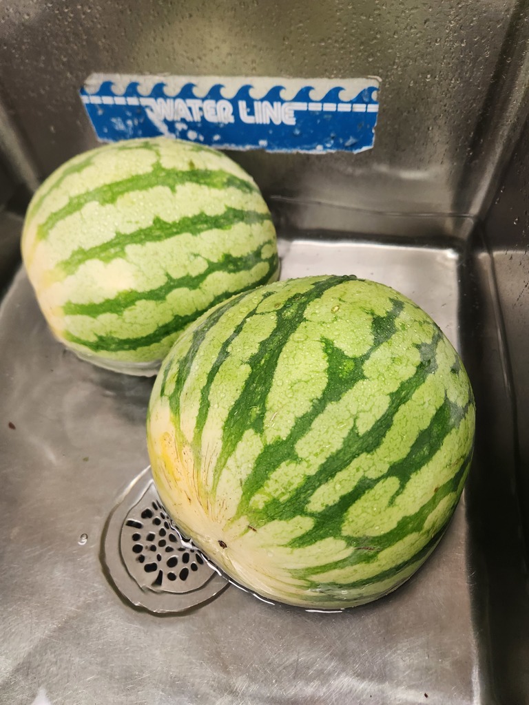 watermelon