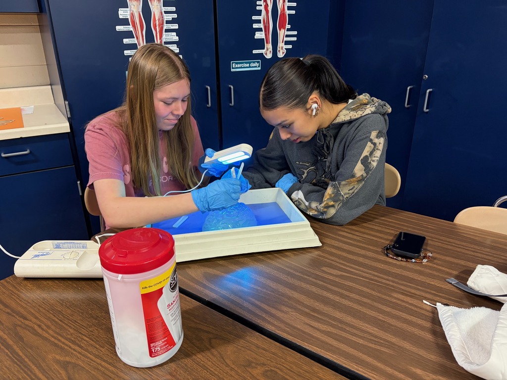 students doing brain surgery simulation