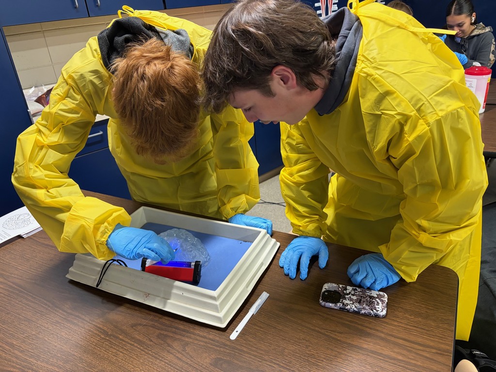 students doing brain surgery simulation
