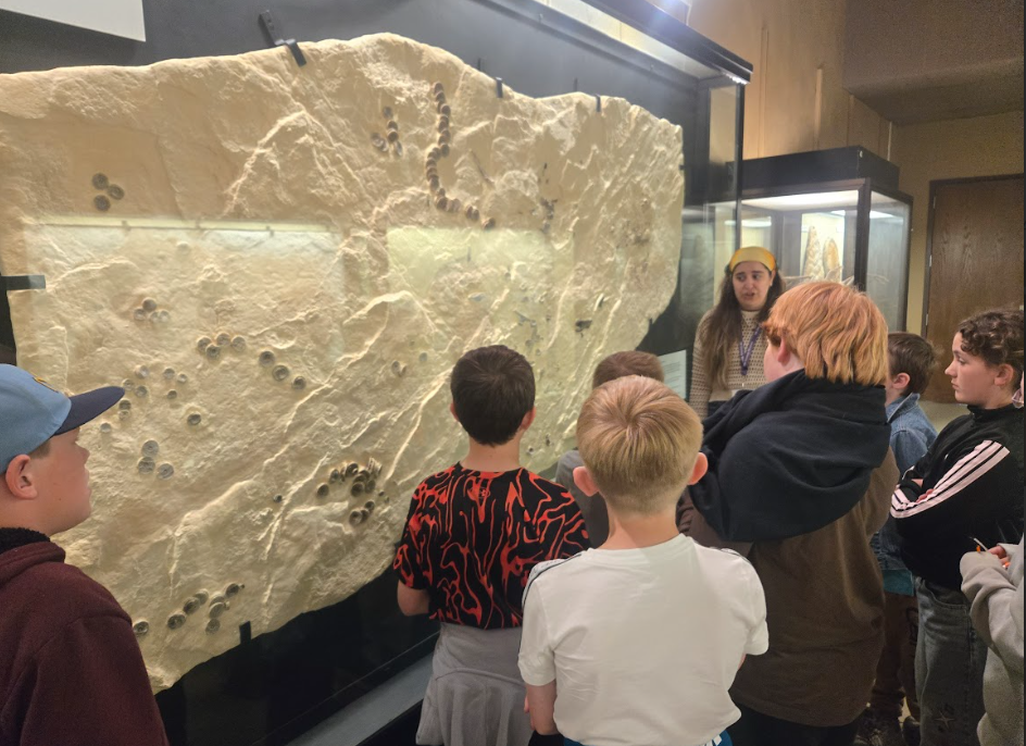 students on fieldtrip