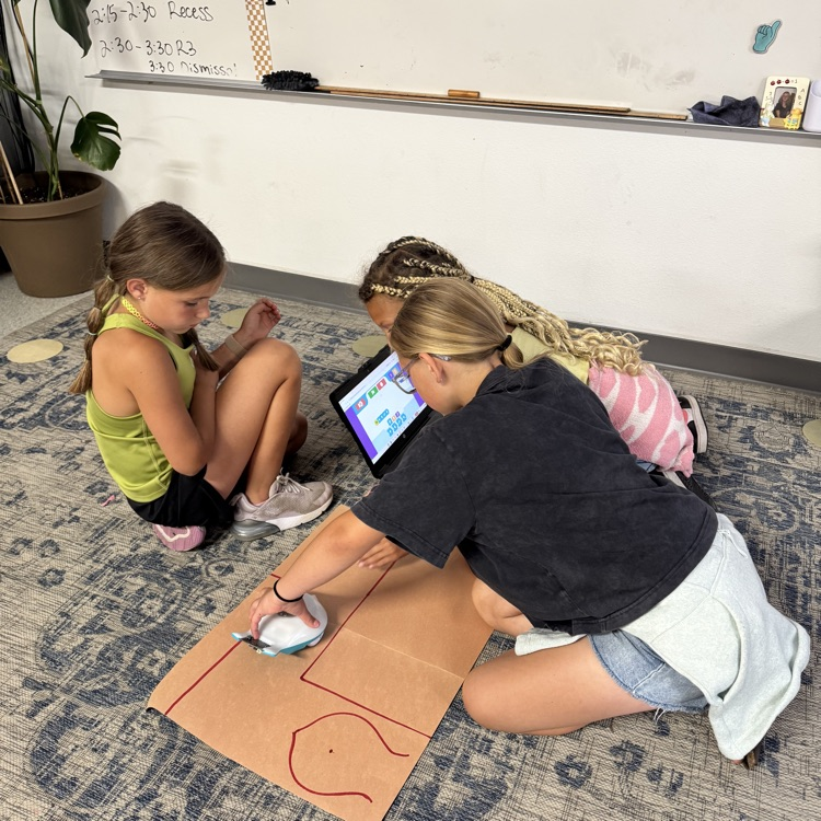 summer school