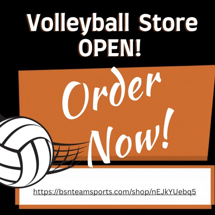 volleyball image