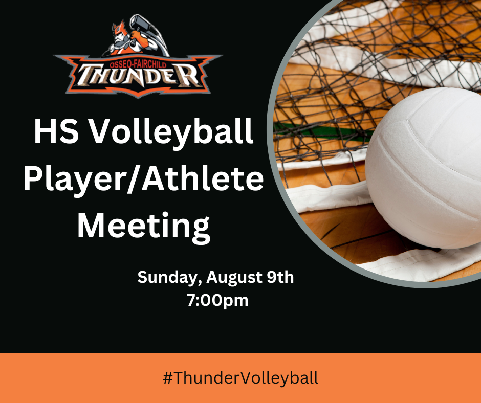 Volleyball and net image. Player Meeting