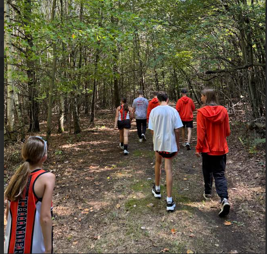 cross country runners on trail