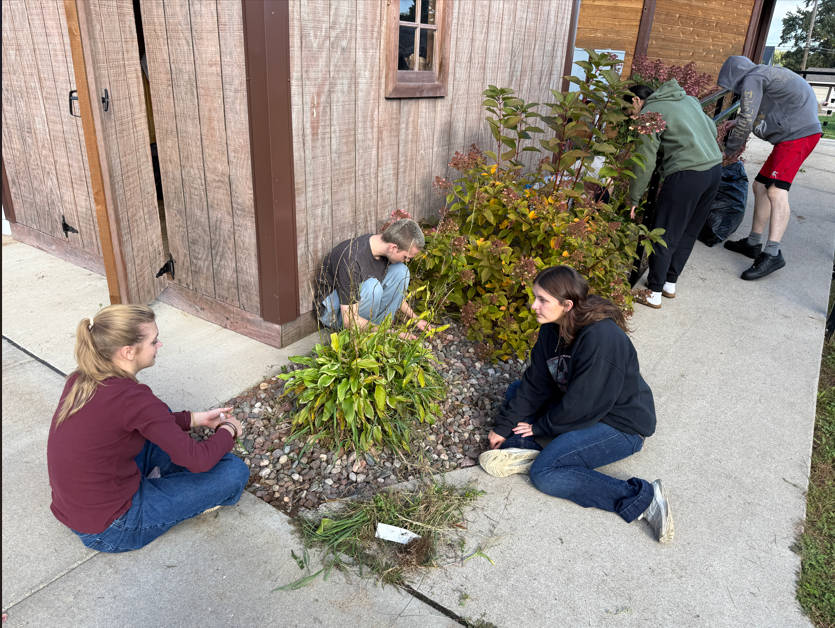 Students working in Community Park