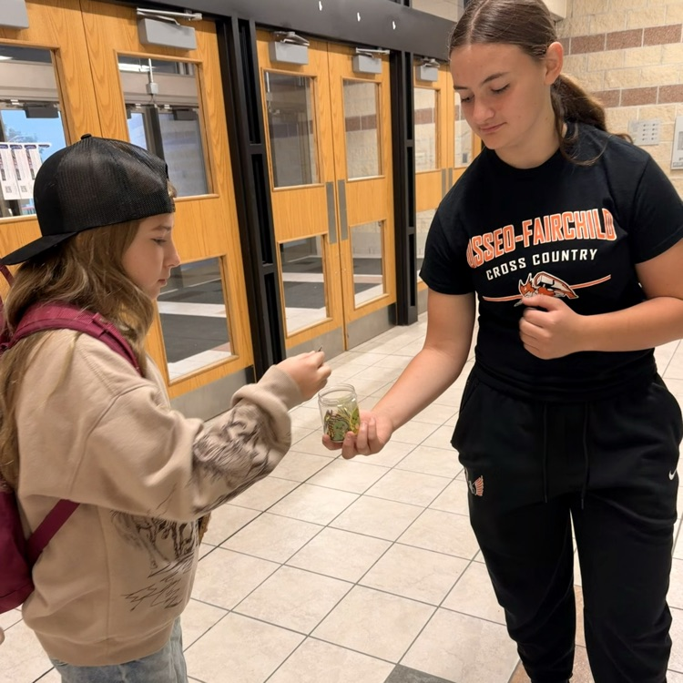 student selecting sticker from a jar 