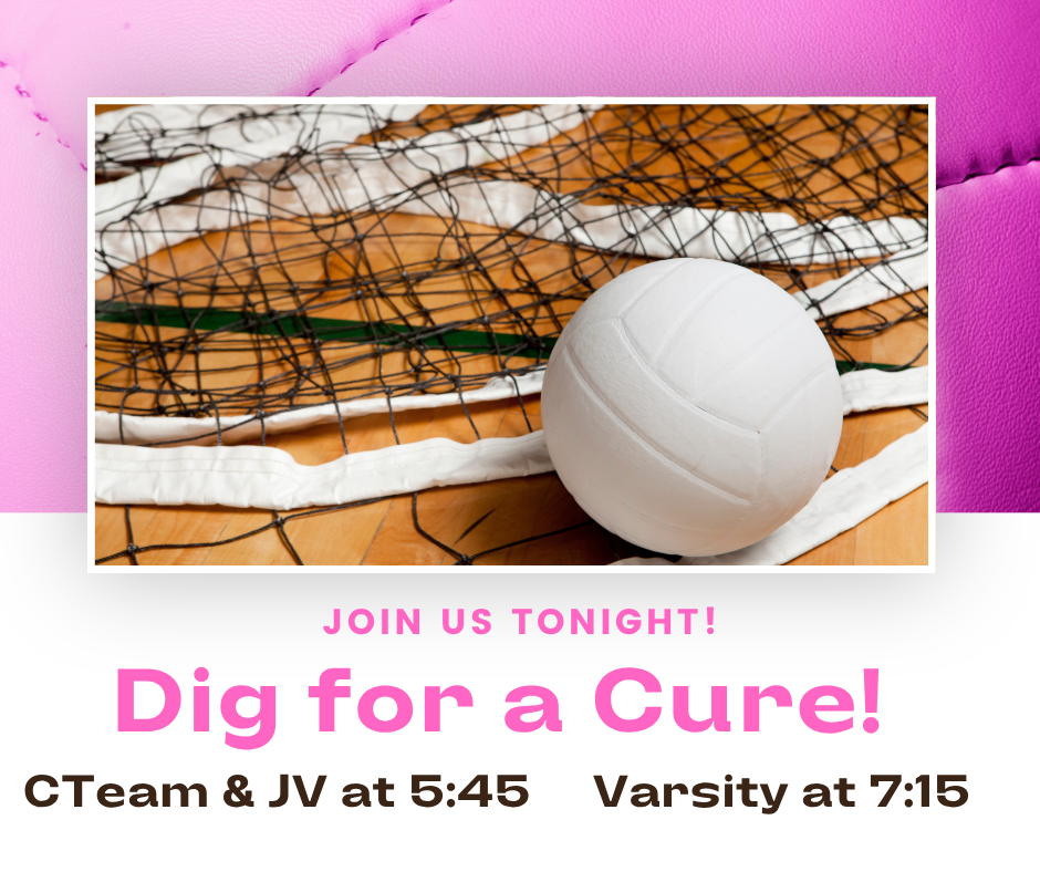 Volleyball on net on pink background   Dig For a Cure Tonight