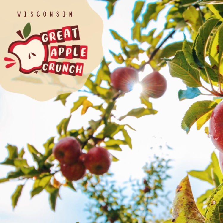 Wisconsin Great Apple Crunch. branch of apple tree