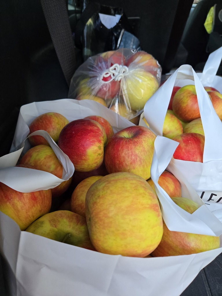 bag of apples