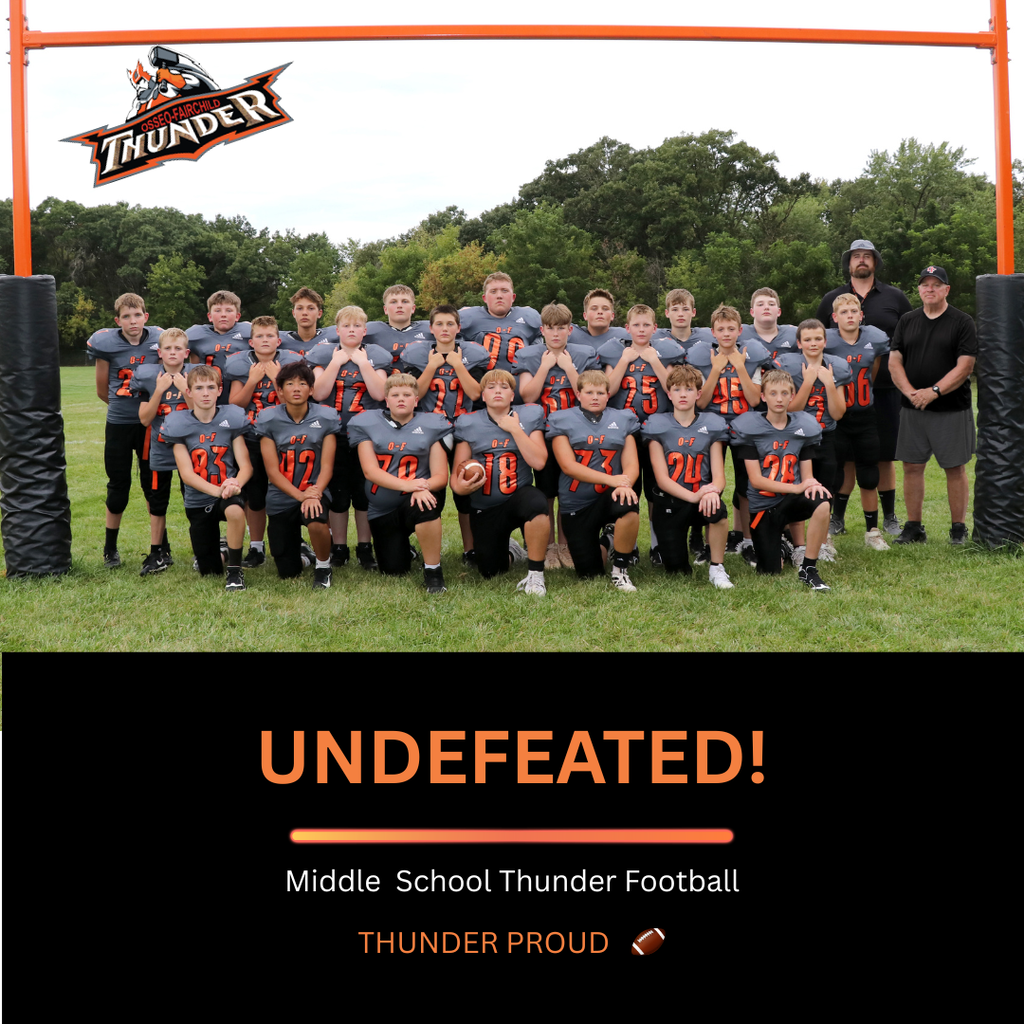 Image description for accessibility:  Football Team photo under orange goalposts