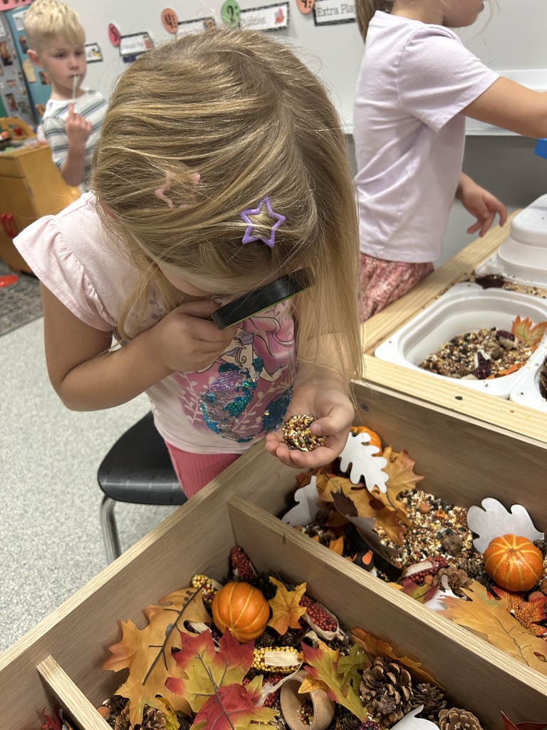 Image Description for accessibility: Little girl looking through magnifying glass at fall objects