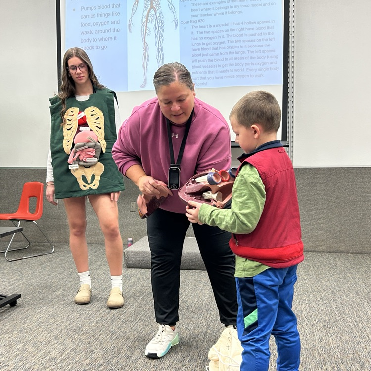 Image Description for Accessibility: teacher presenting