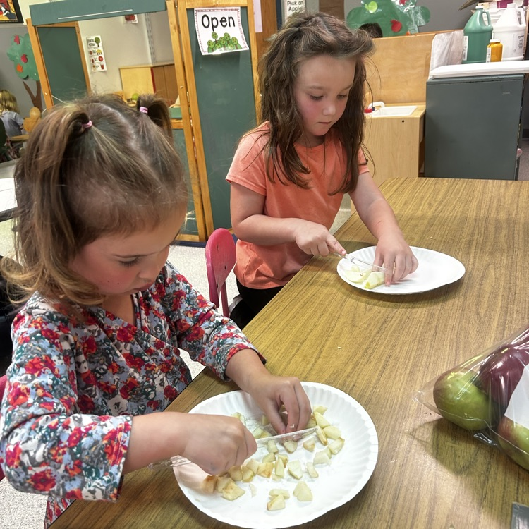 Image description for accessibility. students cutting apples