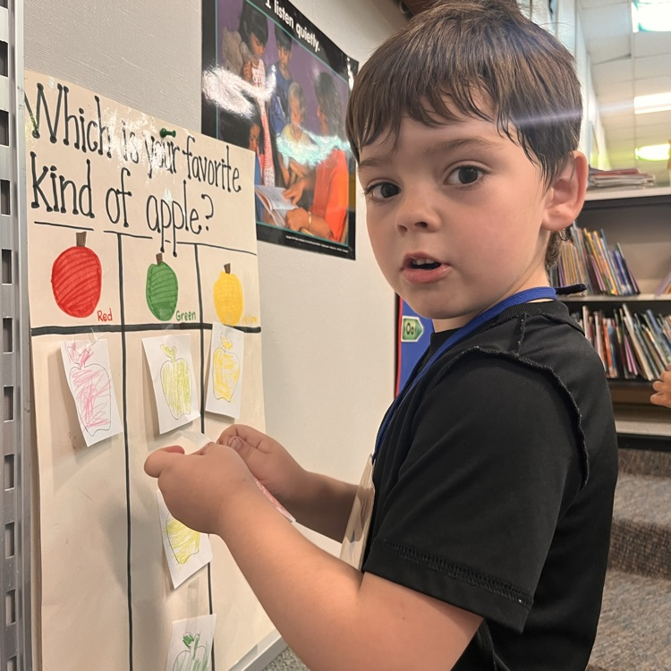 image description for availability: student looking at a Apple graph