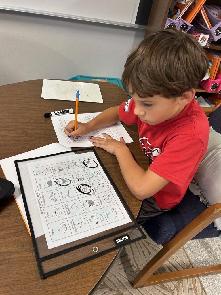 Image description for accessibility:  Student working in classroom