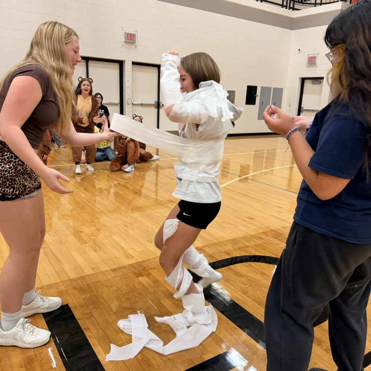 Image description for a accessibility to students wrapping another student in toilet paper