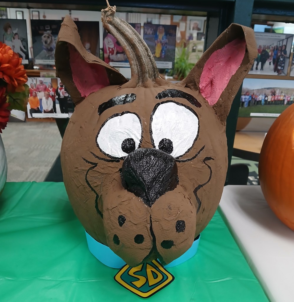 Scooby Doo pimpkin