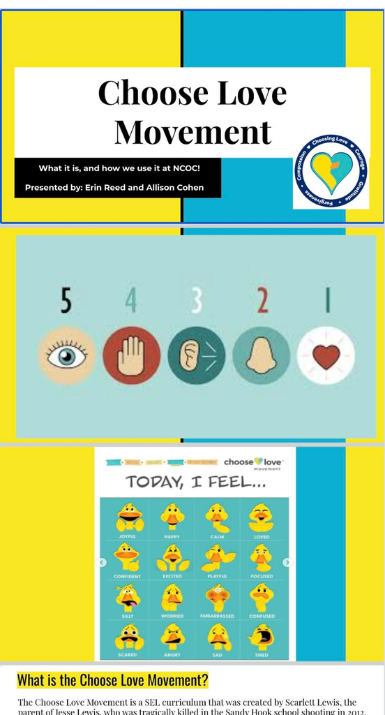 A picture of a part of a presentation. Choose Love Movement. What it is, and how we use it at NCOC! Presented by Erin Reed and Allison Cohen