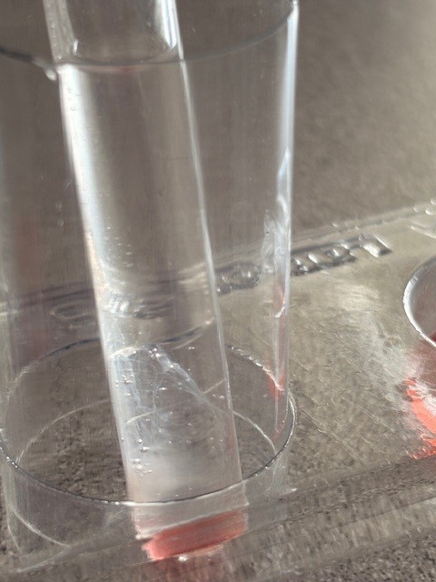 Close up of a specimen tube with strawberry in it