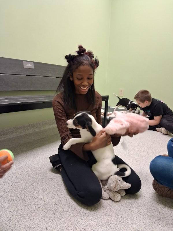 Student holding a brown and white puppy and a stuffed toy smiling while another student is playing with a puppy in the background